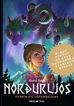 Norðurljós 1